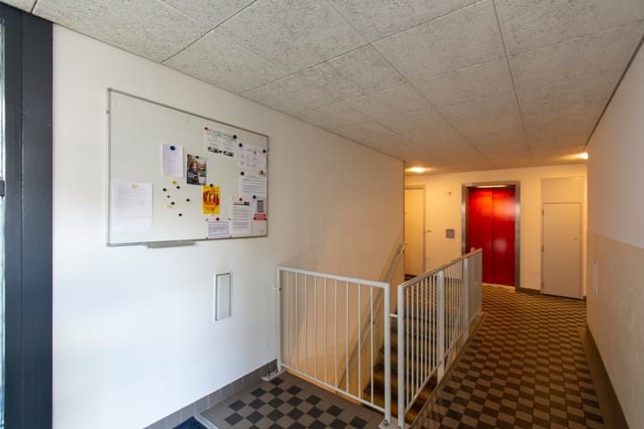 Foto 25 van Borneolaan 286