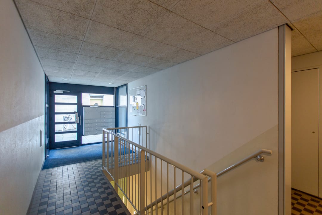 Foto 26 van Borneolaan 286