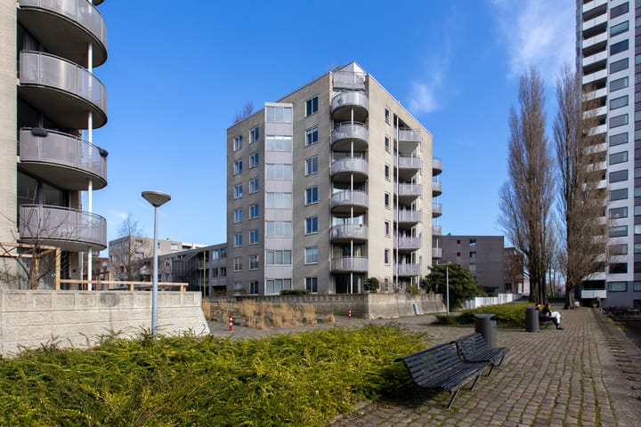 Foto 32 van Borneolaan 286