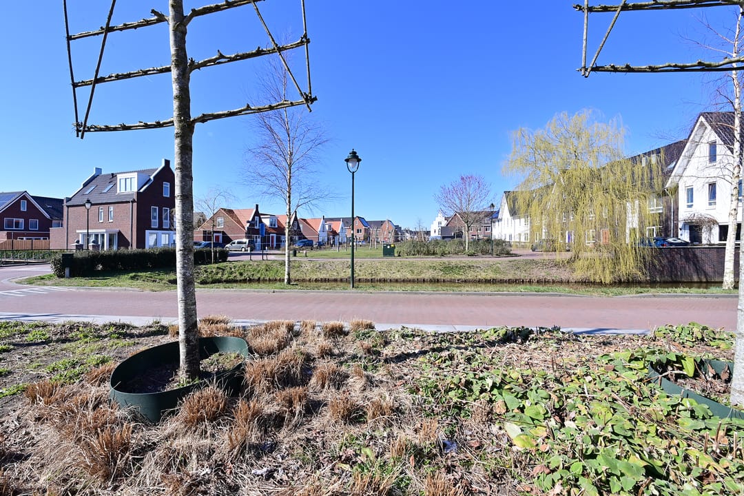 Foto 16 van Hoogeboomstraat 25