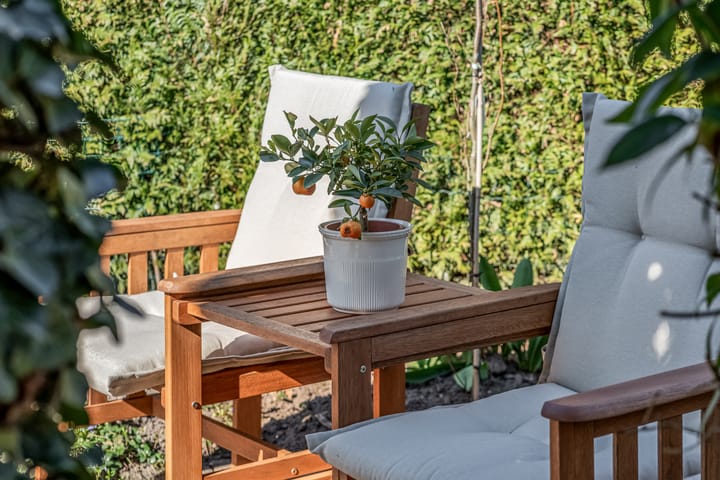 Foto 40 van Händelstraat 60