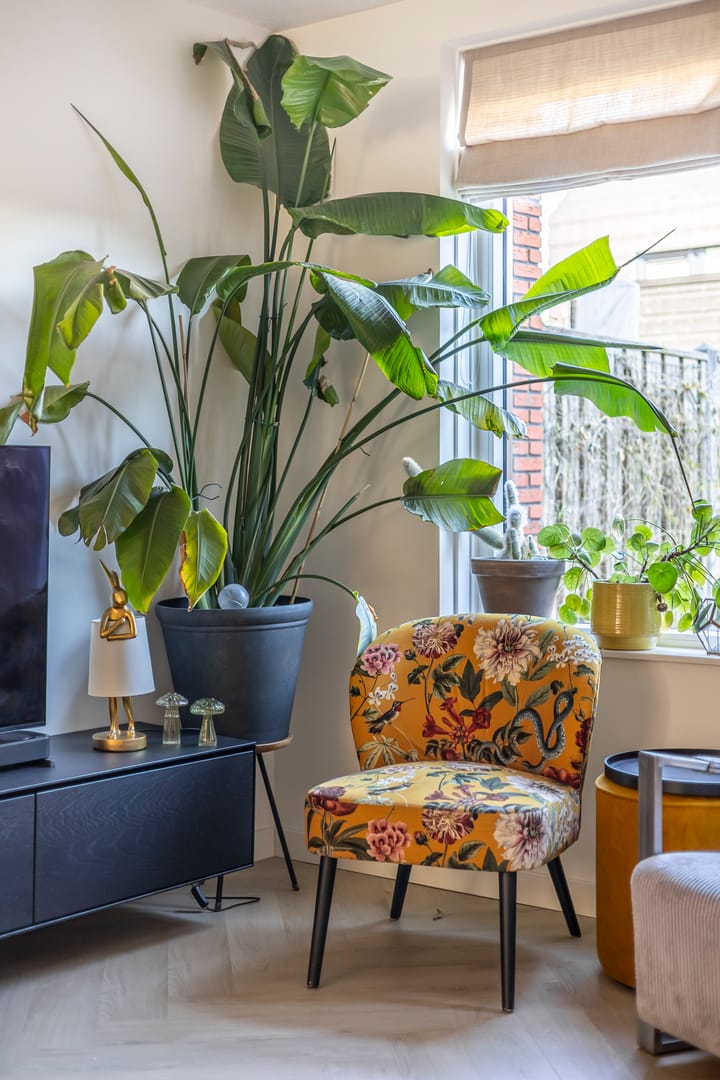 Foto 20 van Klaproos 5