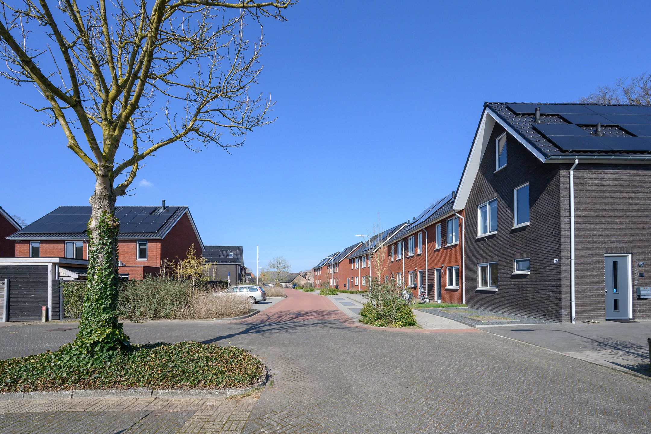 Foto 21 van C.J. van Doornstraat 28