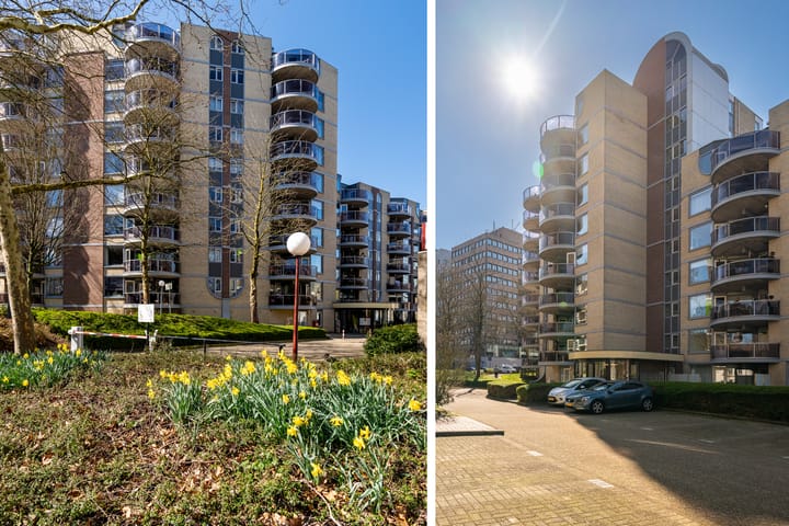 Photo 20 of Putgraaf 297