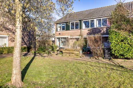 undefined main image