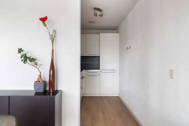 Foto 21 van Rochussenstraat 235-C