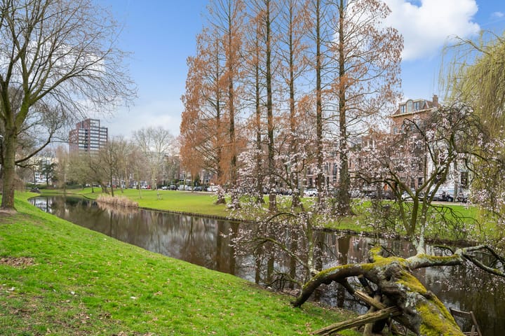 Foto 40 van Rochussenstraat 235-C