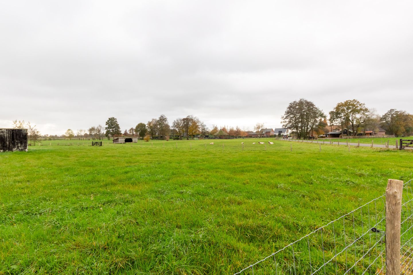 Photo 5 of Nederwoudhof 2