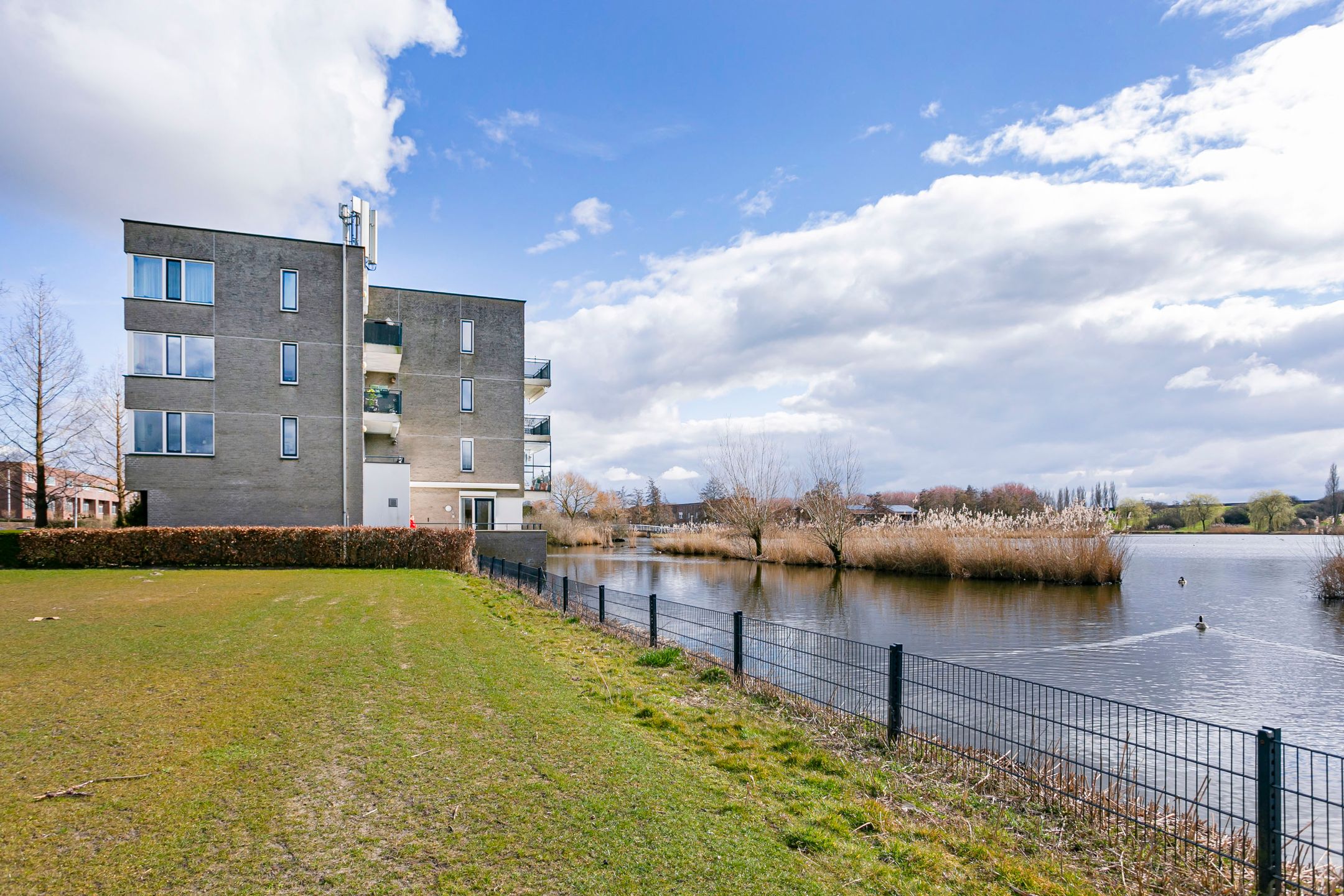 Photo 3 of De Milan Viscontilaan 188