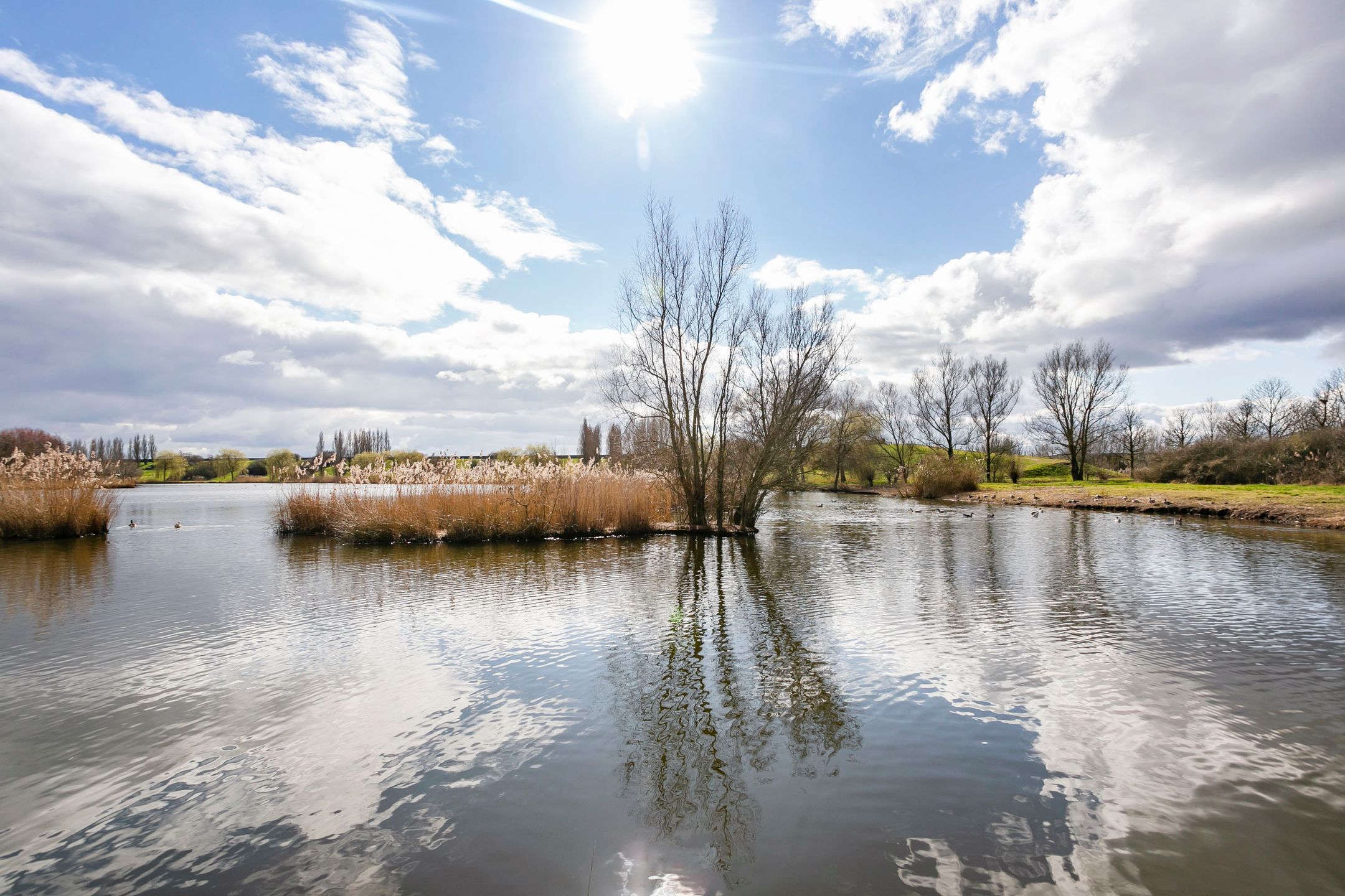 Photo 33 of De Milan Viscontilaan 188