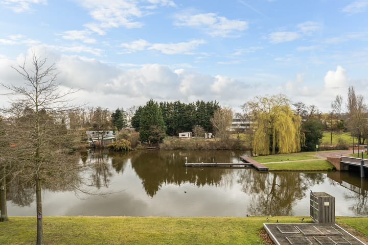 Foto 41 van Piet van de Polsingel 192