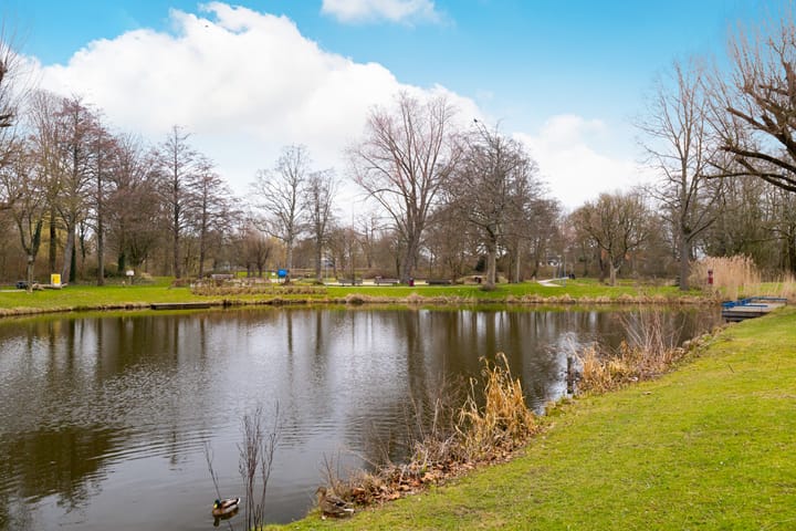 Foto 47 van Holwardastraat 11