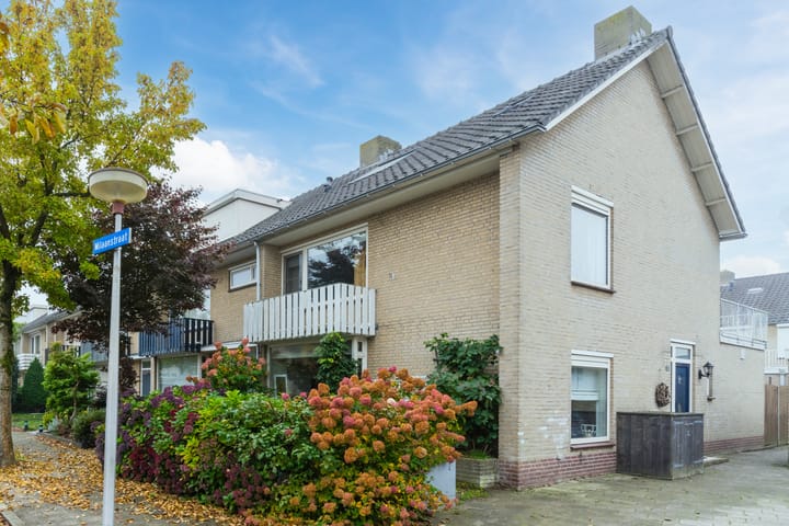 Foto 2 van Milaanstraat 17