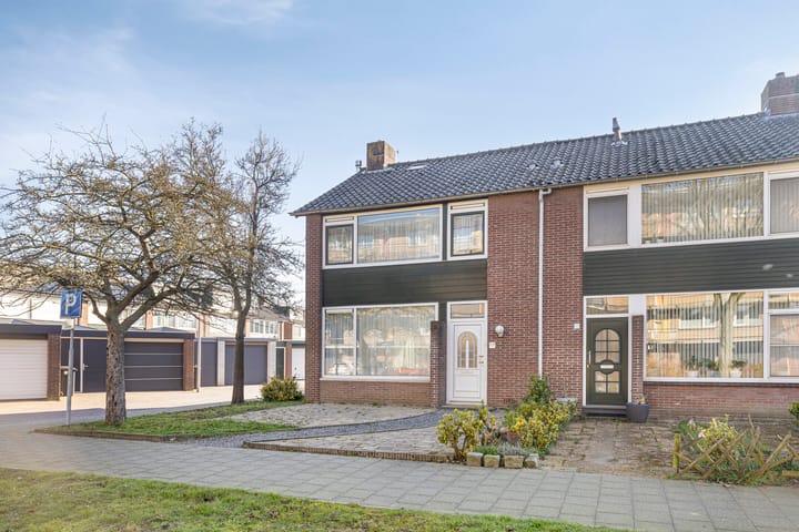 Foto 5 van Merwedepad 1