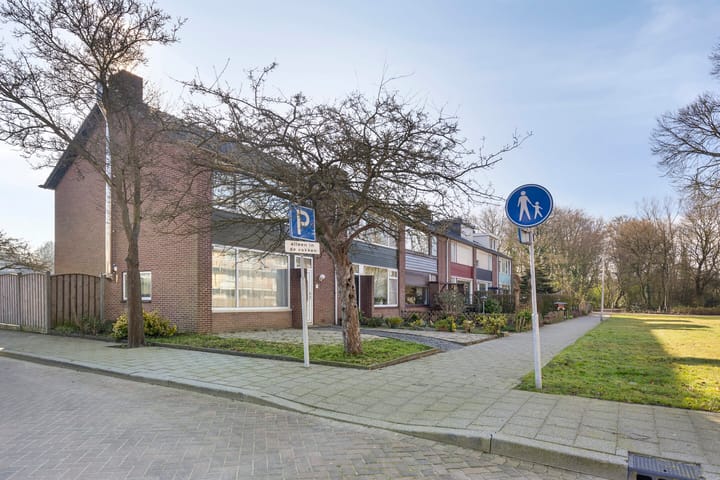 Foto 7 van Merwedepad 1