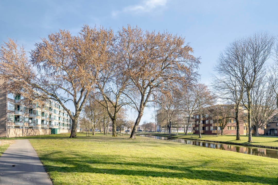 Foto 37 van Merwedepad 1