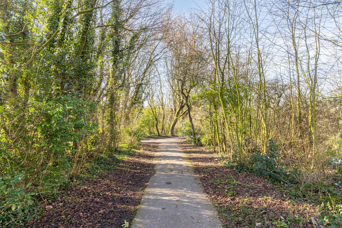 Foto 40 van Merwedepad 1