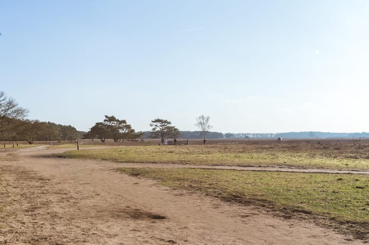 Foto 27 van Zwaluwlaan 122