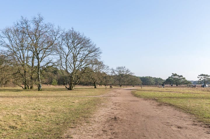 Foto 28 van Zwaluwlaan 122