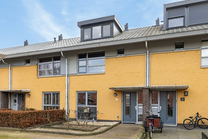 Kolibrievlinder 28