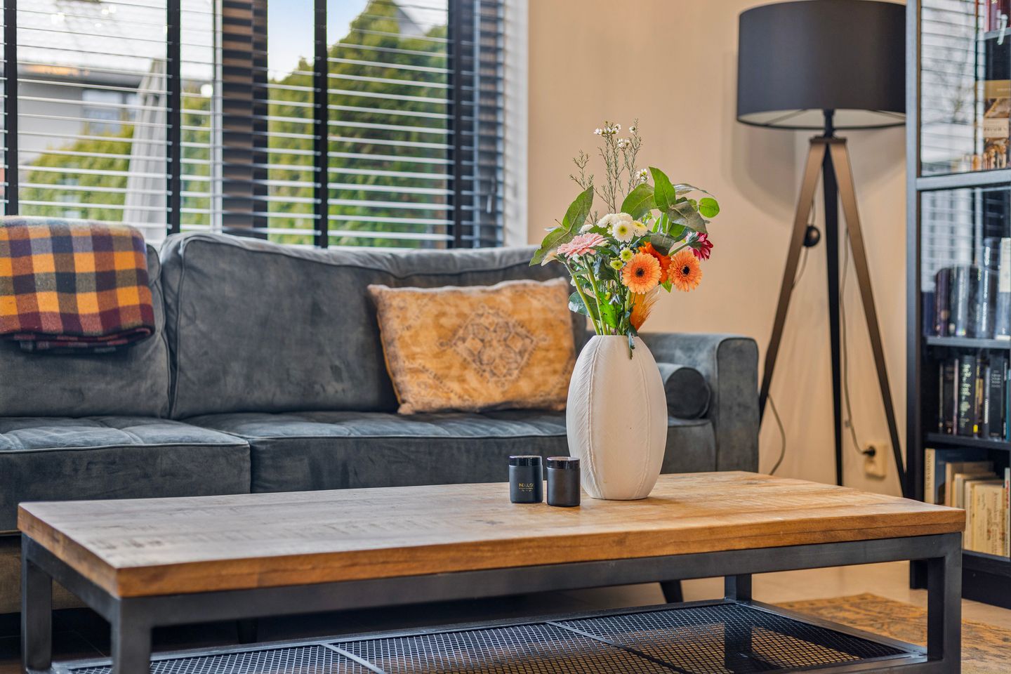 Foto 5 van Kolibrievlinder 28