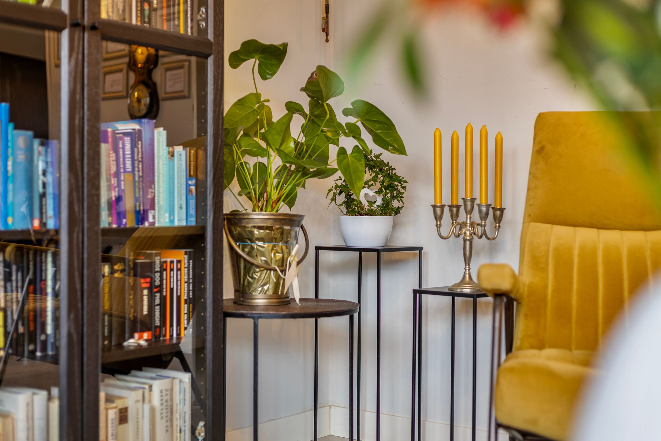 Foto 6 van Kolibrievlinder 28