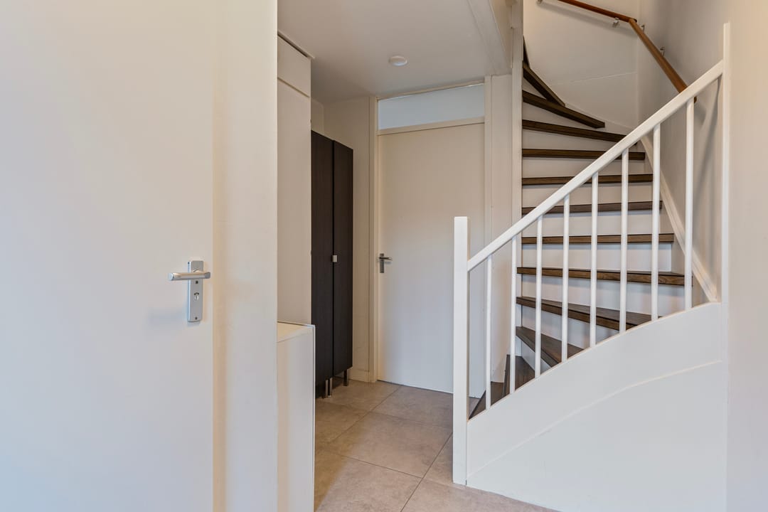 Foto 17 van Kolibrievlinder 28