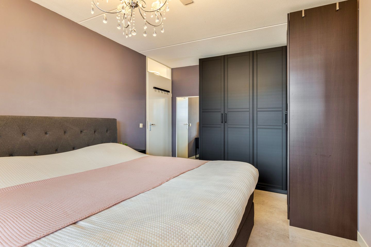 Foto 19 van Kolibrievlinder 28