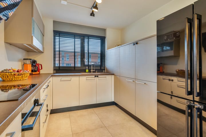 Foto 12 van Kolibrievlinder 28