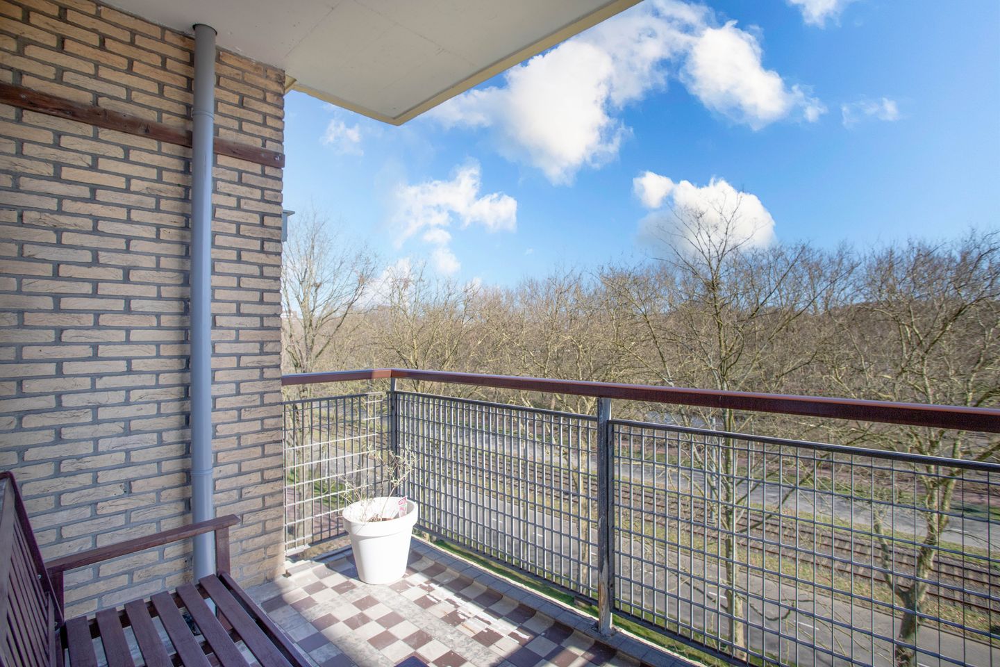 Foto 19 van Livingstonelaan 808