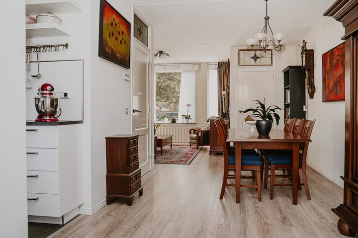 Foto 2 van Penningkruid 16