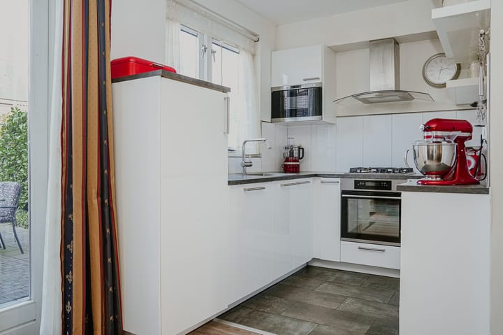 Foto 3 van Penningkruid 16