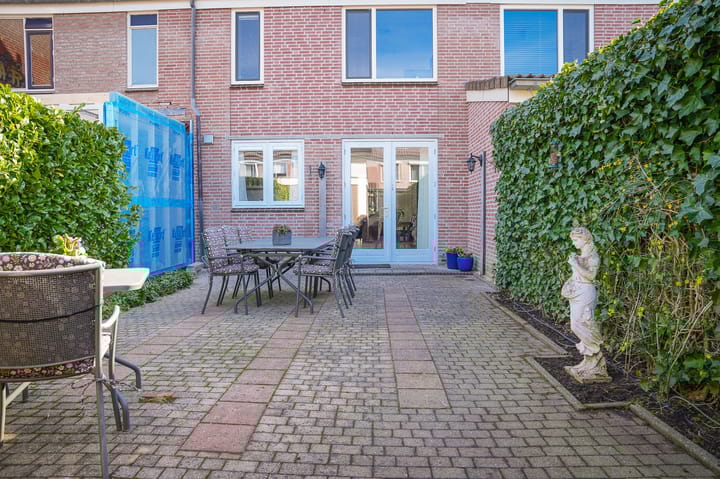 Foto 4 van Penningkruid 16