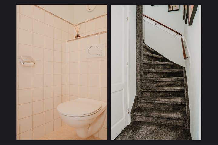 Foto 11 van Penningkruid 16