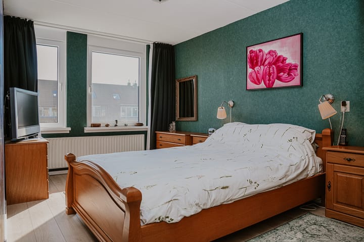 Foto 12 van Penningkruid 16