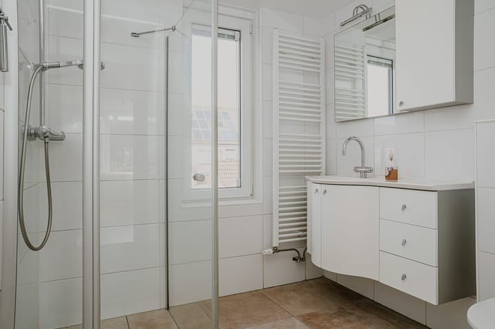 Foto 16 van Penningkruid 16