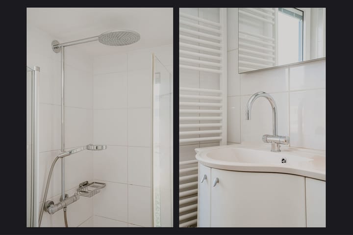 Foto 17 van Penningkruid 16