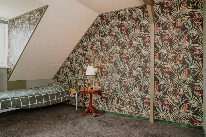 Foto 18 van Penningkruid 16