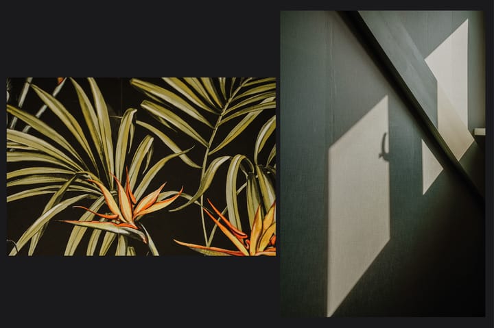 Foto 19 van Penningkruid 16