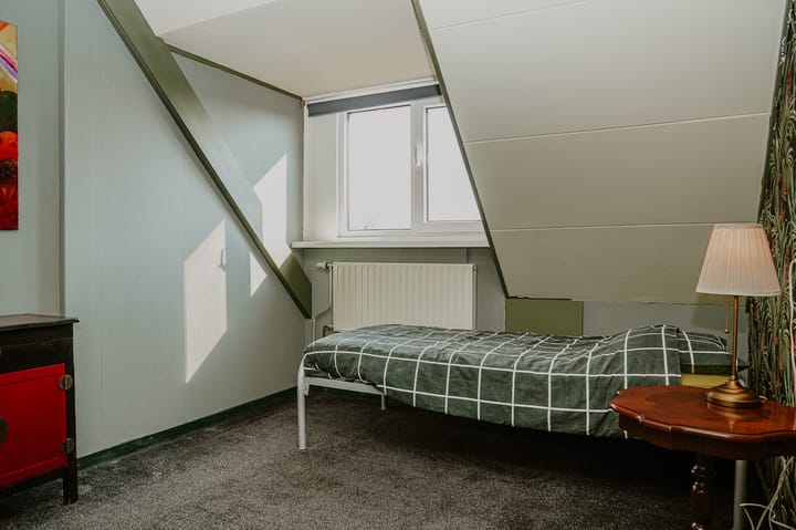 Foto 20 van Penningkruid 16