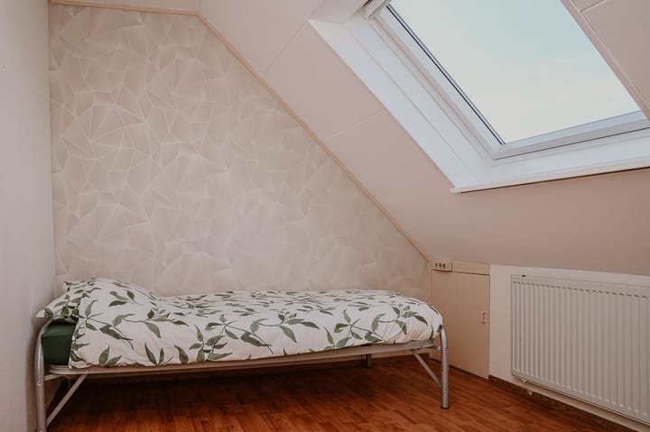 Foto 21 van Penningkruid 16