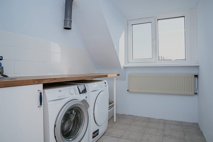 Foto 22 van Penningkruid 16