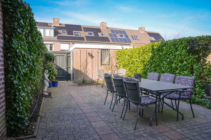 Foto 23 van Penningkruid 16