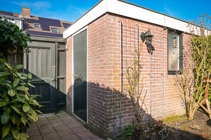 Foto 24 van Penningkruid 16