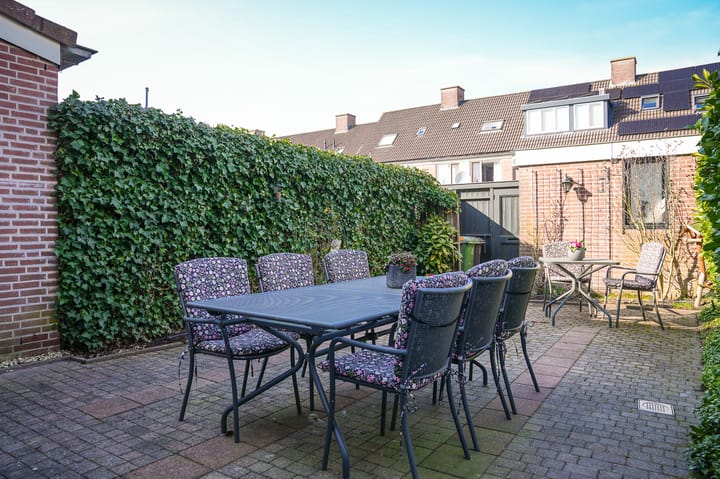 Foto 25 van Penningkruid 16