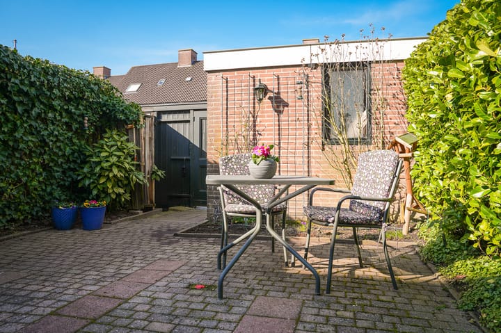 Foto 26 van Penningkruid 16