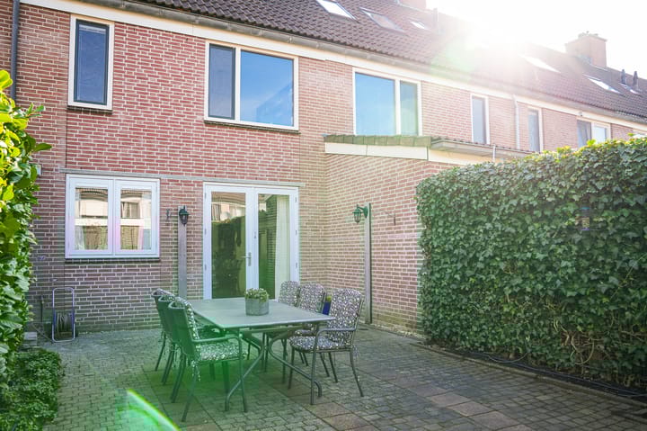 Foto 27 van Penningkruid 16