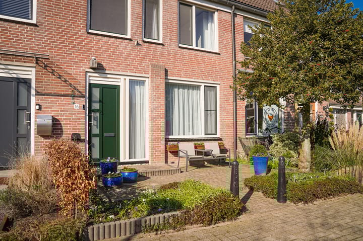 Foto 28 van Penningkruid 16