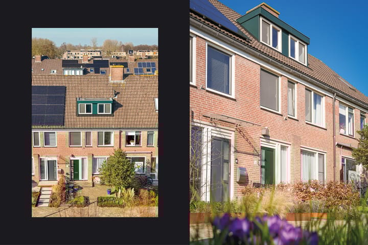 Foto 29 van Penningkruid 16