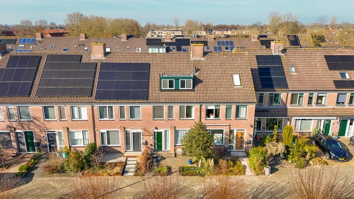 Foto 30 van Penningkruid 16